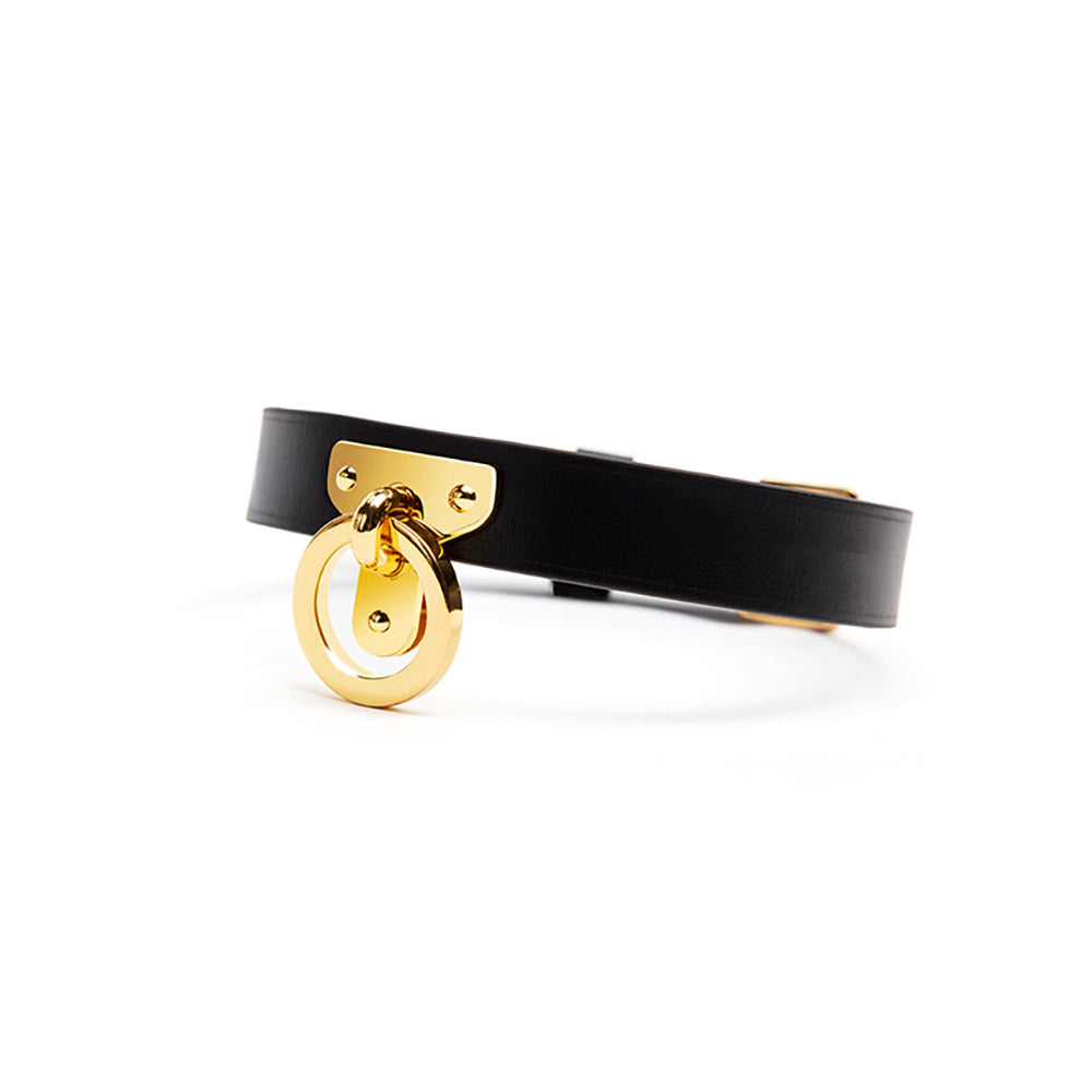 Elegant Gold O-Ring Leather Bondage Collar with Leash – Luxurious Control & Style
