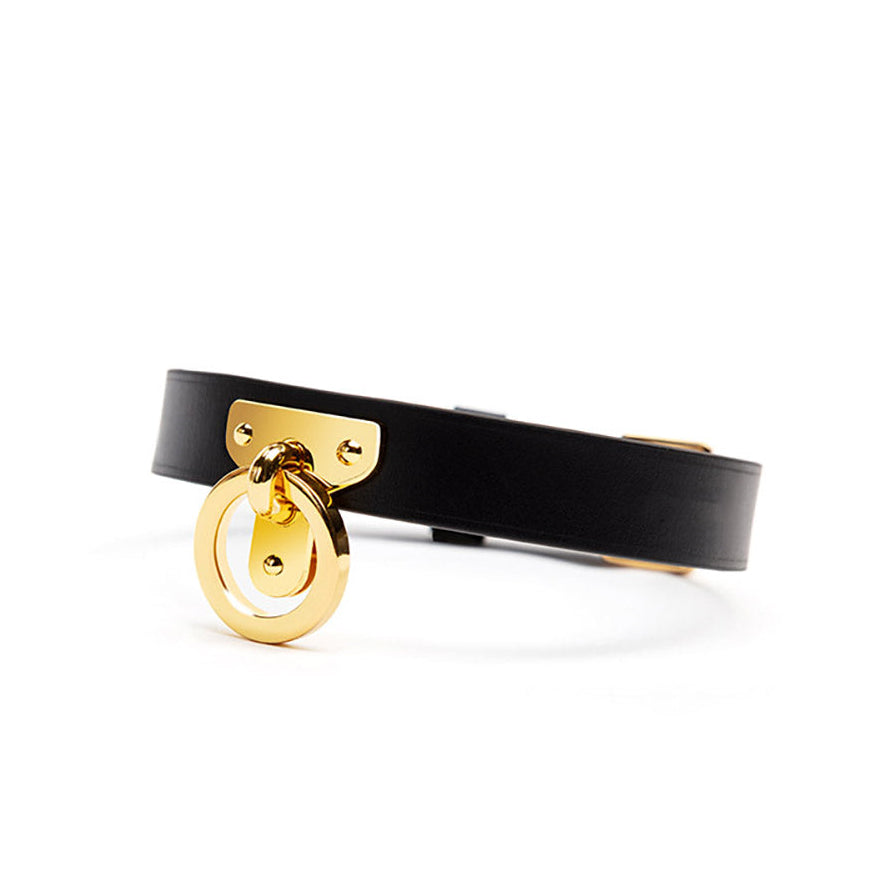 Luxurious Gold O-Ring Leather Bondage Collar with Leash