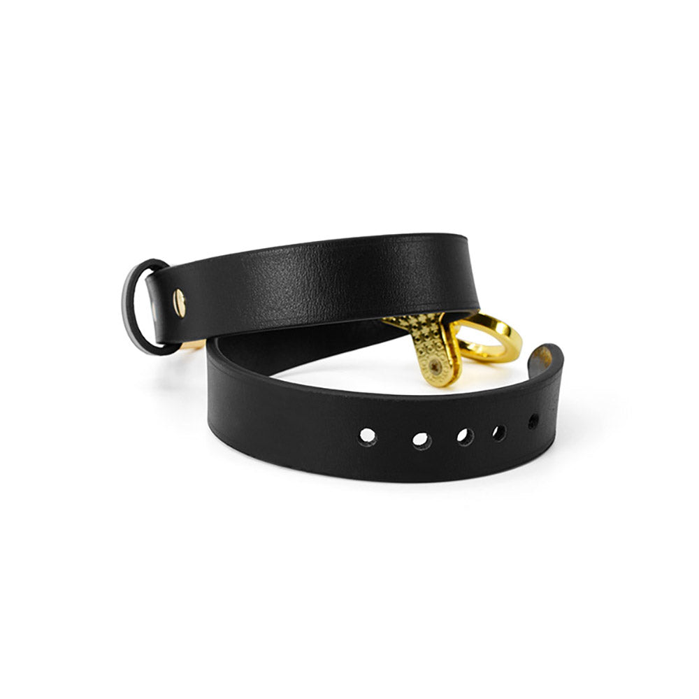 Luxurious Gold O-Ring Leather Bondage Collar with Leash