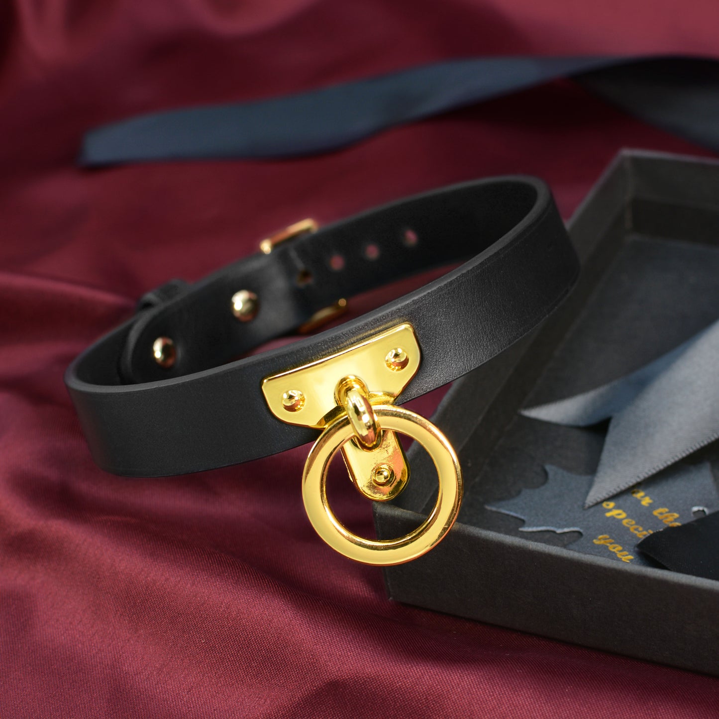 Luxurious Gold O-Ring Leather Bondage Collar with Leash
