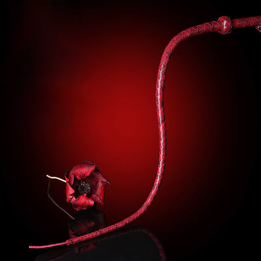 Premium Braided Single-Tail Whip - Precision Impact Play