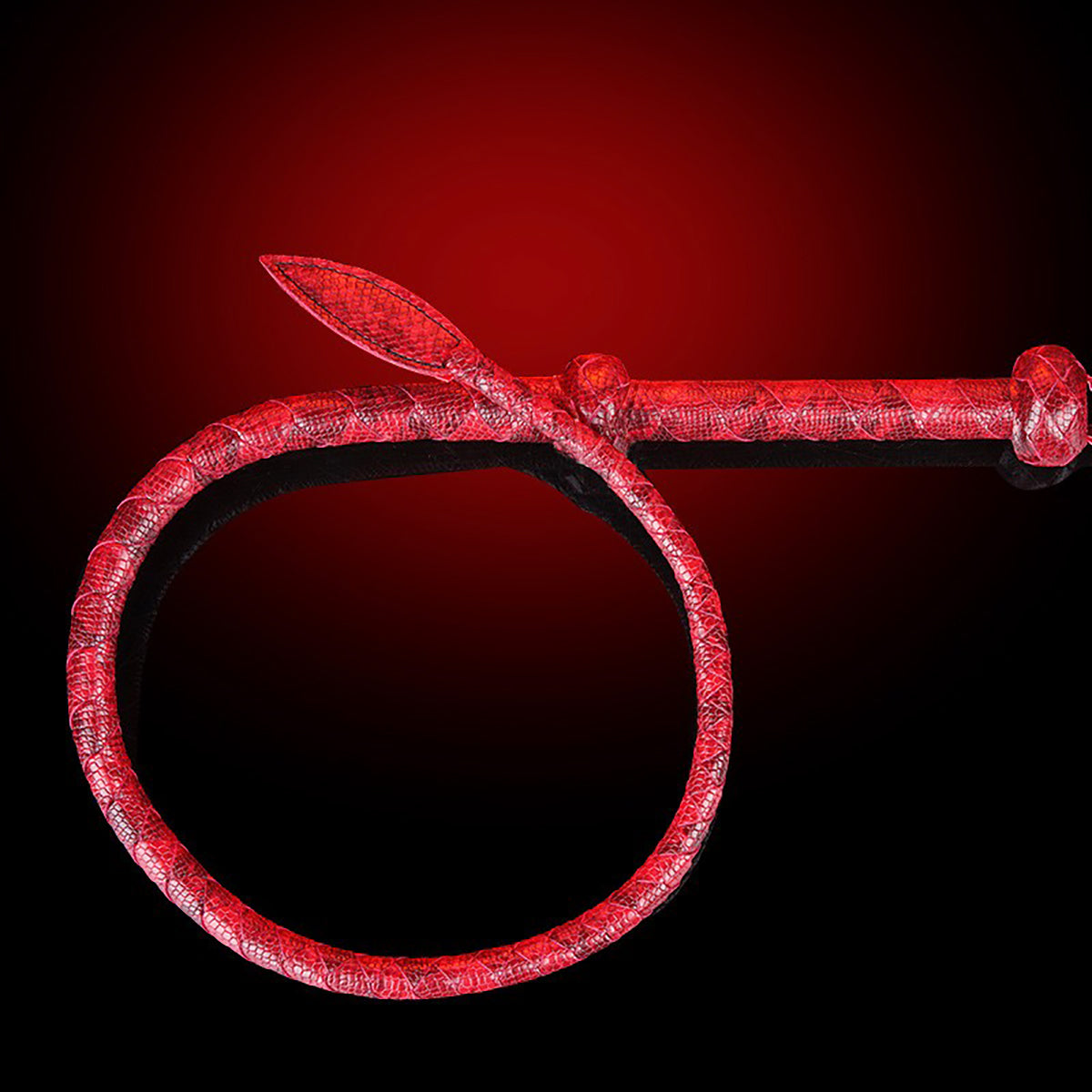 Premium Braided Single-Tail Whip - Precision Impact Play