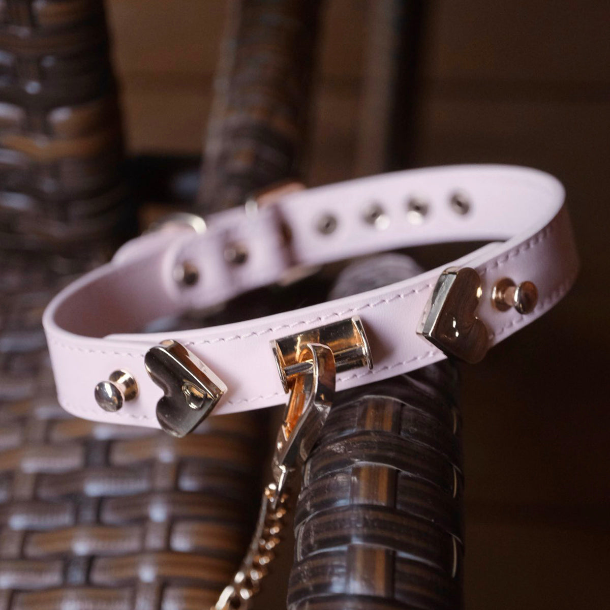 Blushing Devotion - Premium Pink Leather Heart Collar & Leash Set