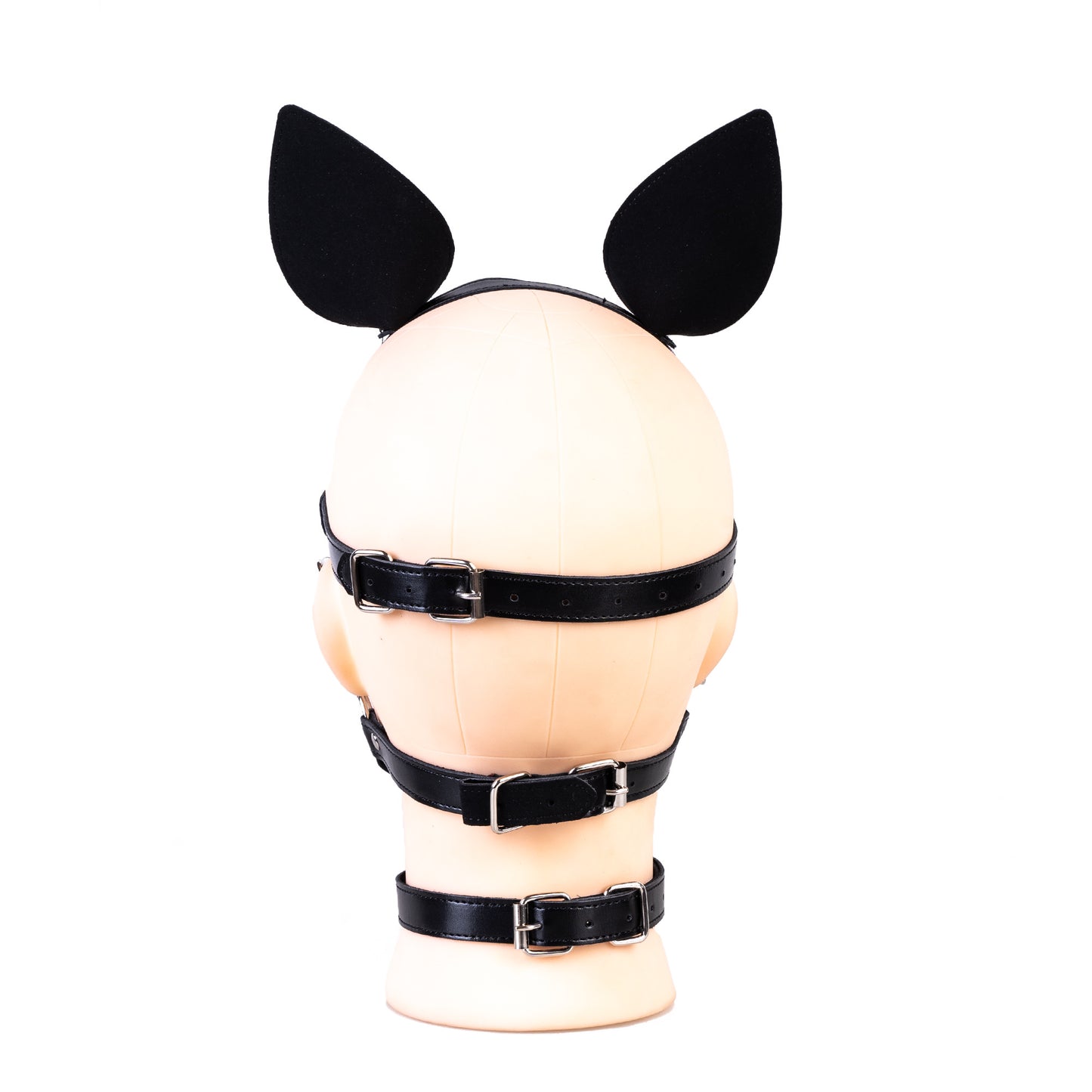 Pet play head harness with puppy ears and dildo gag worn in pup play scene