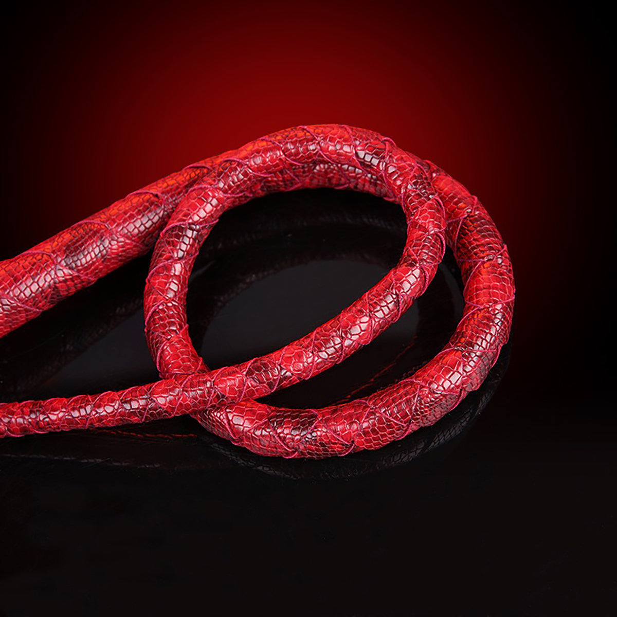 Premium Braided Single-Tail Whip - Precision Impact Play